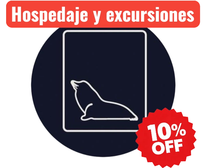 Sealion patagonian tours